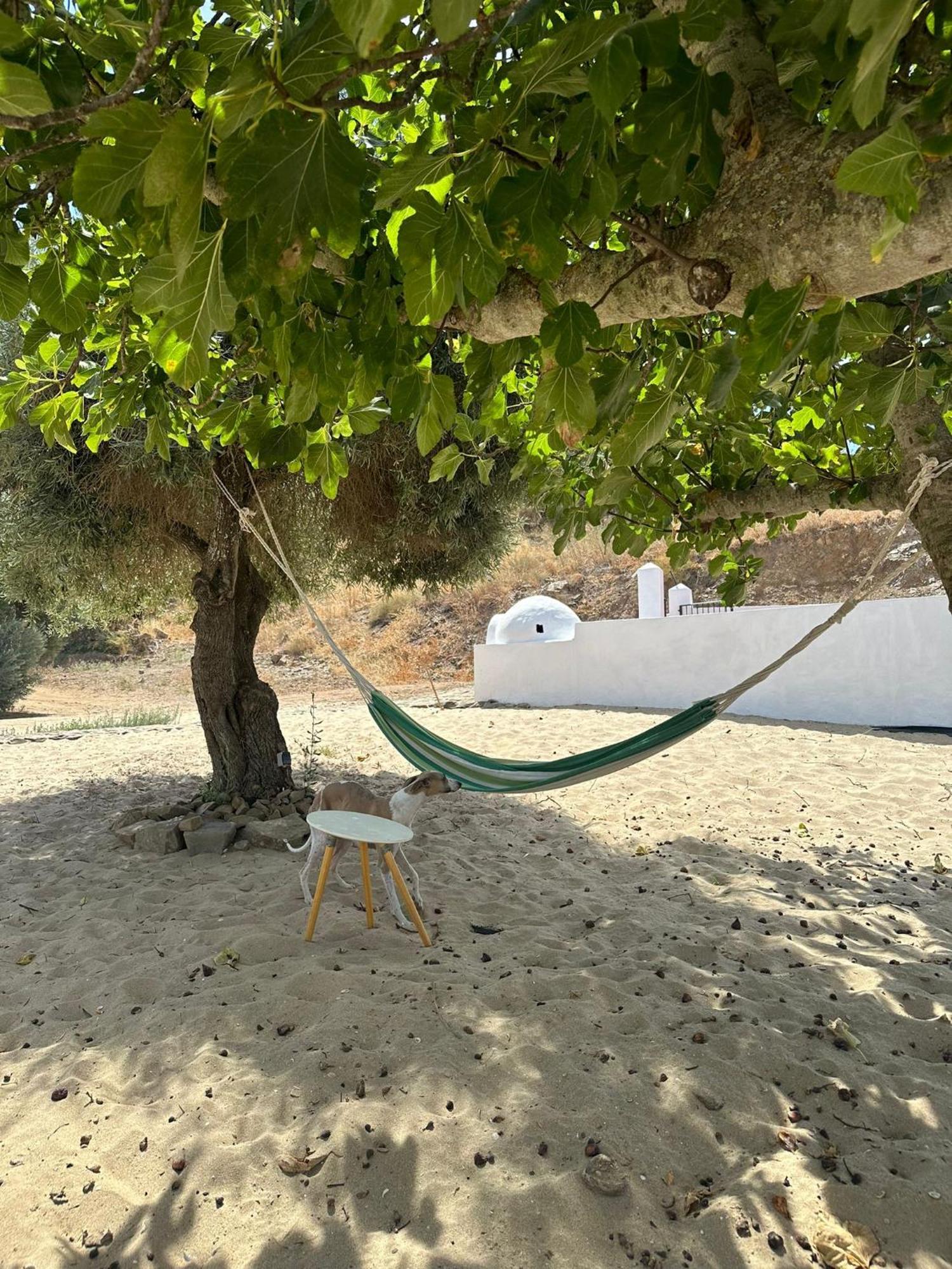 הואלבה Magnifica Casa A Orillas Del Guadiana מראה חיצוני תמונה